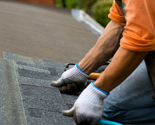 Gutter Installation and Roofing in Lake Park, FL