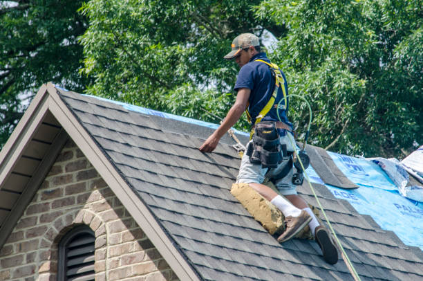 Quick and Trustworthy Emergency Roof Repair Services in Lake Park, FL